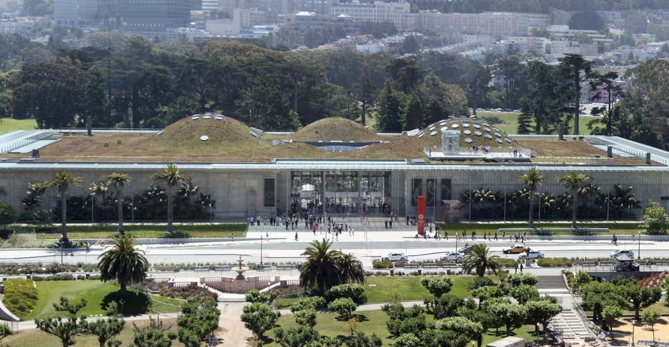San Francisco Neighborhoods & Museums [Team Building]