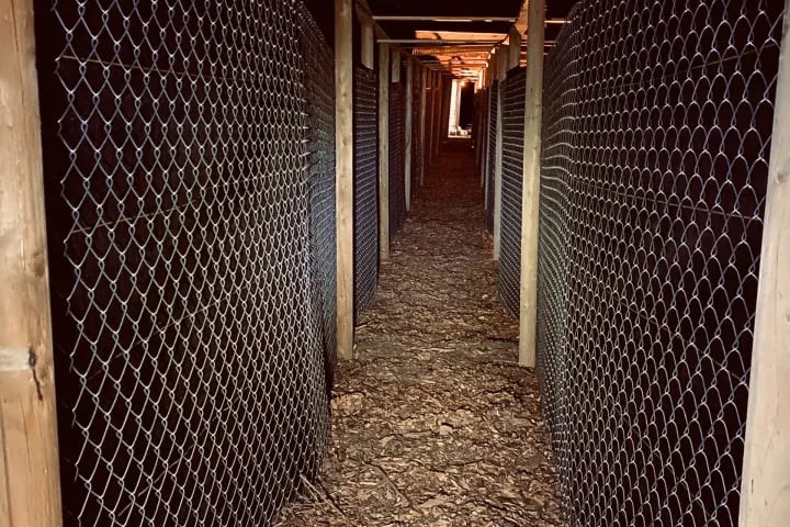 Cold Springs County Jailhouse Maze