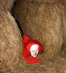 Haunted Hay Maze