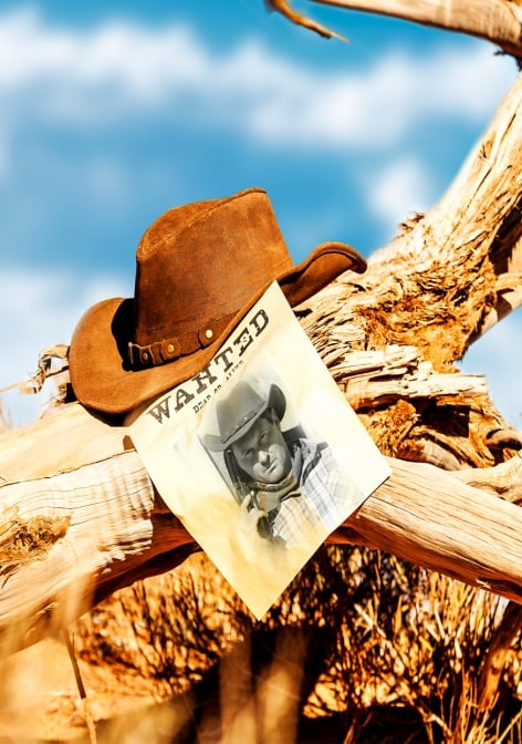 Western Dziki Saloon [Western Wild Saloon]