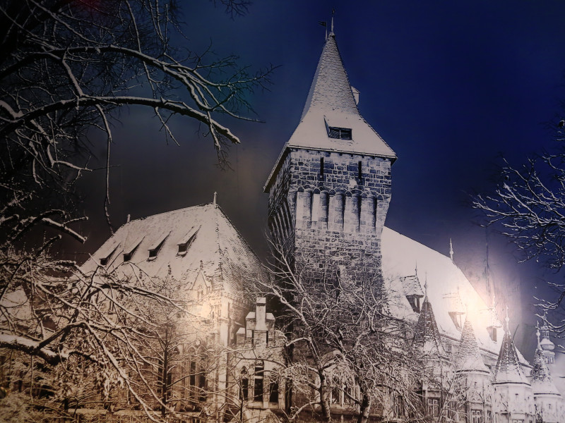 Magic Castle
