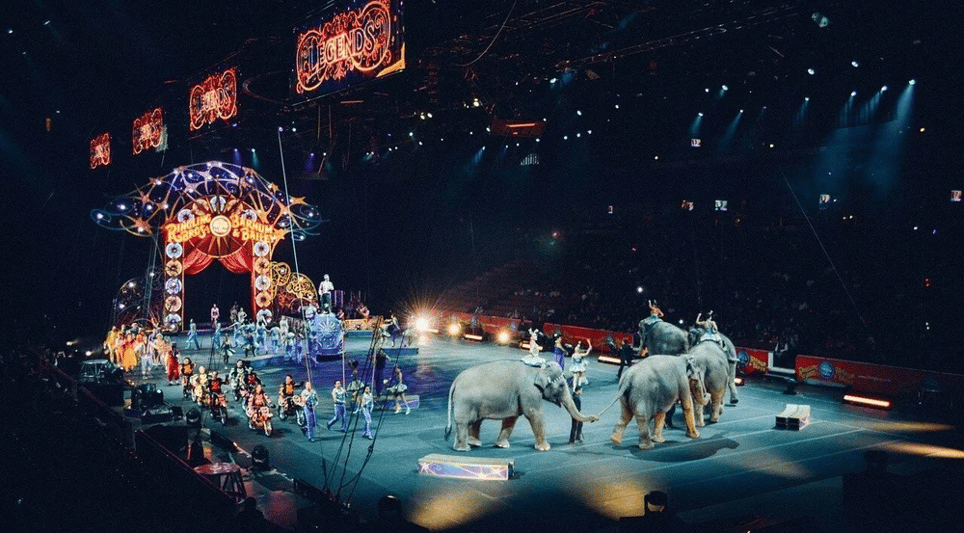 Circus Room