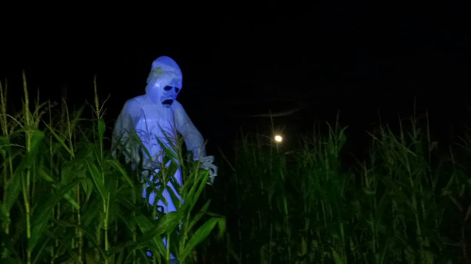 Haunted Corn Maze