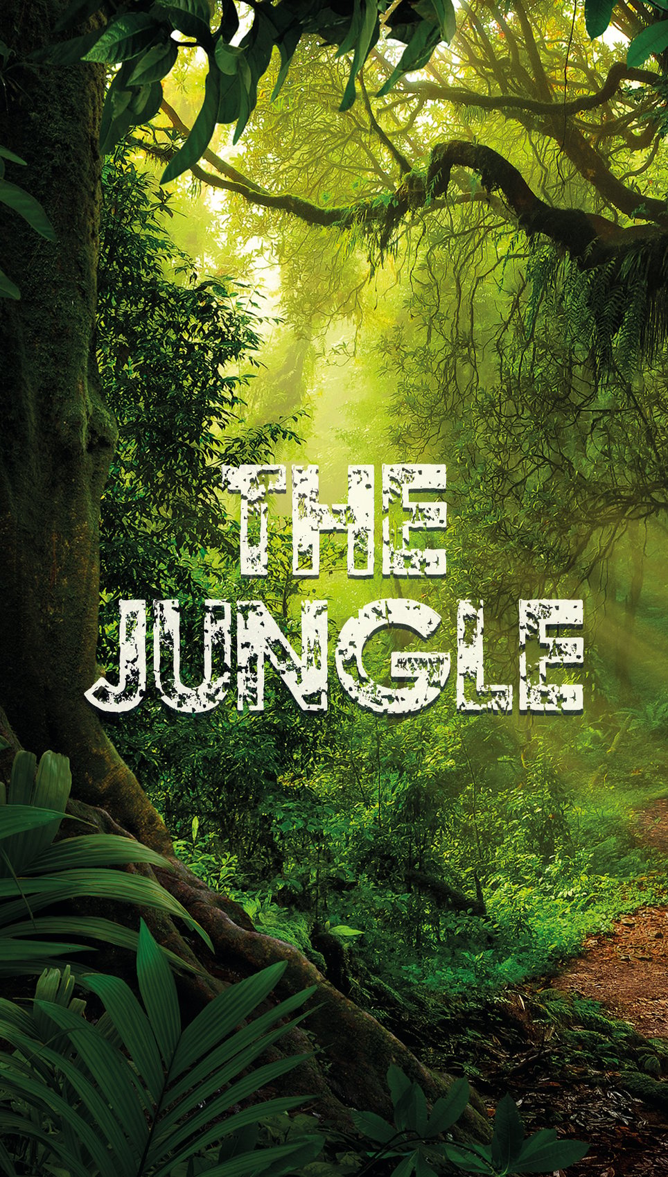 The Jungle