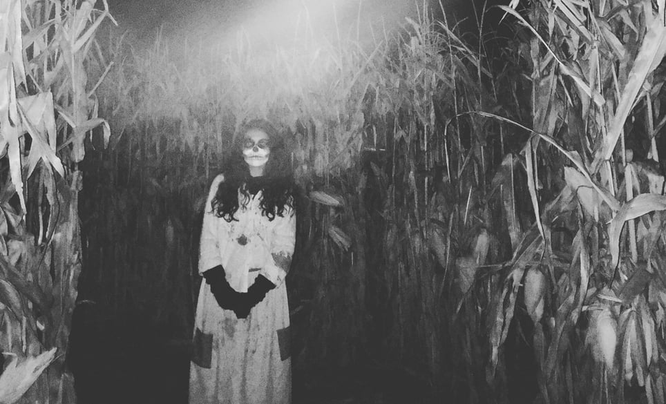 Field of Fright