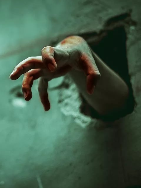 The Infected