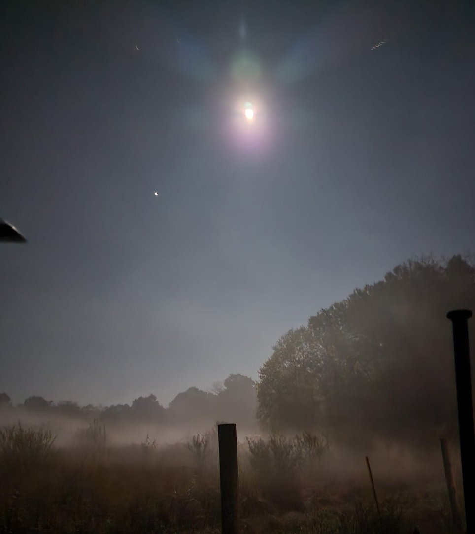 Fariston's Haunted Forest