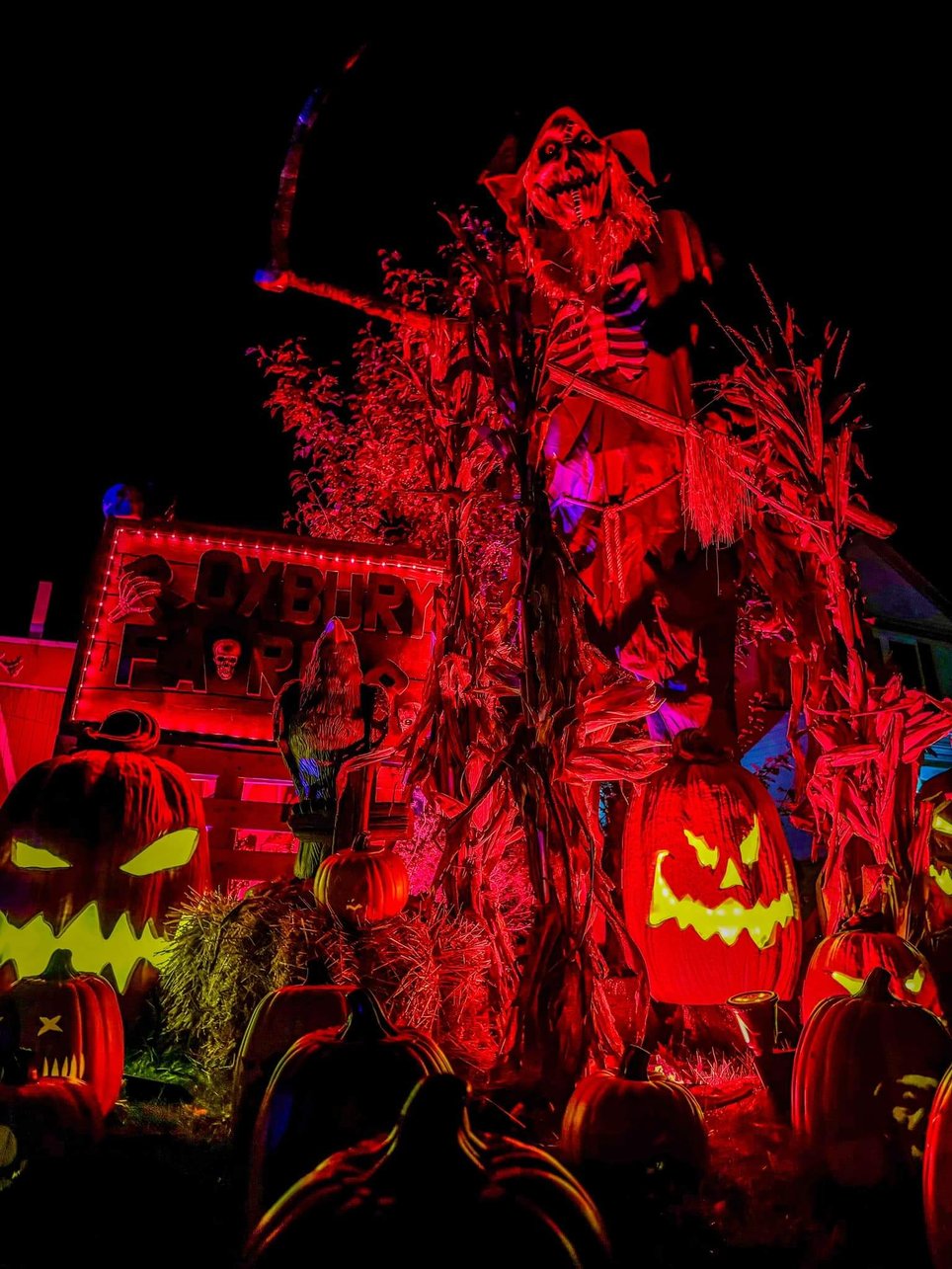 Haunts for Hunger