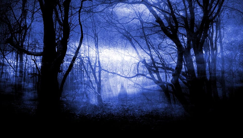 Der Wald der Verlorenen Seelen [The Forest of Lost Souls][Outdoor]