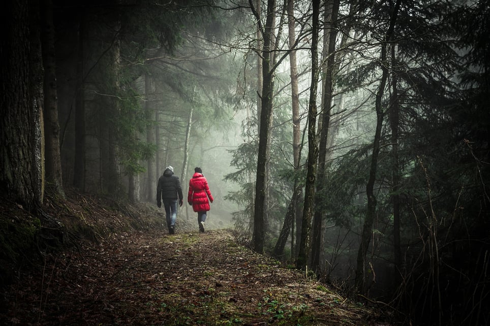 Escape the Woods
