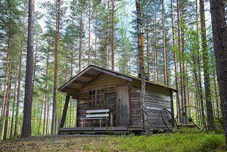 Cabin In The Woods