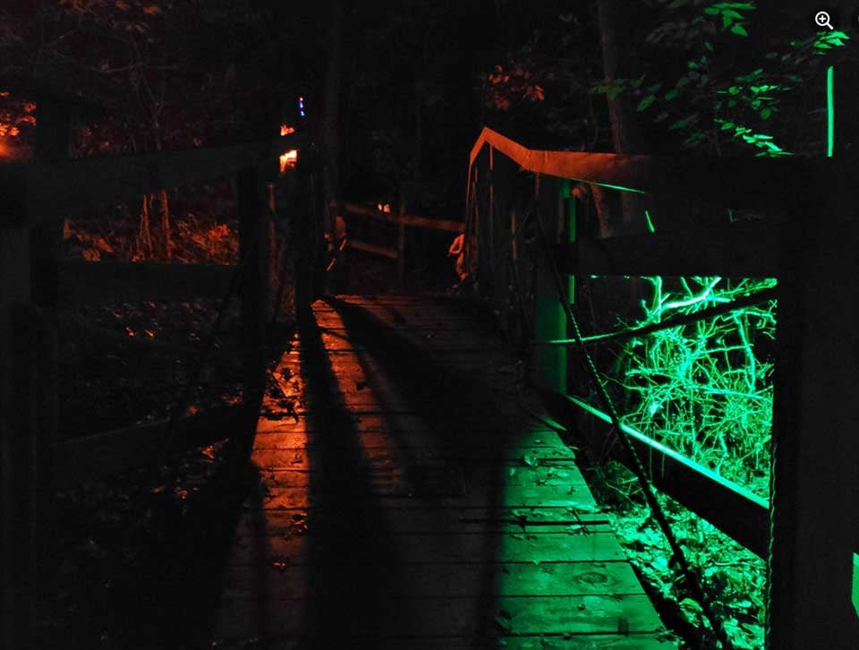 The Monster Corn Maze