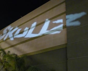 Skullz [Season 2014]