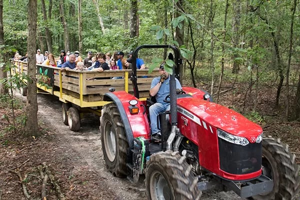 Hey Hey Hayride