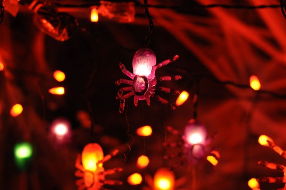 International Scary House for the Children of the World
