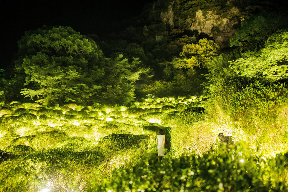 A Forest Where Gods Live [Immersive Art]