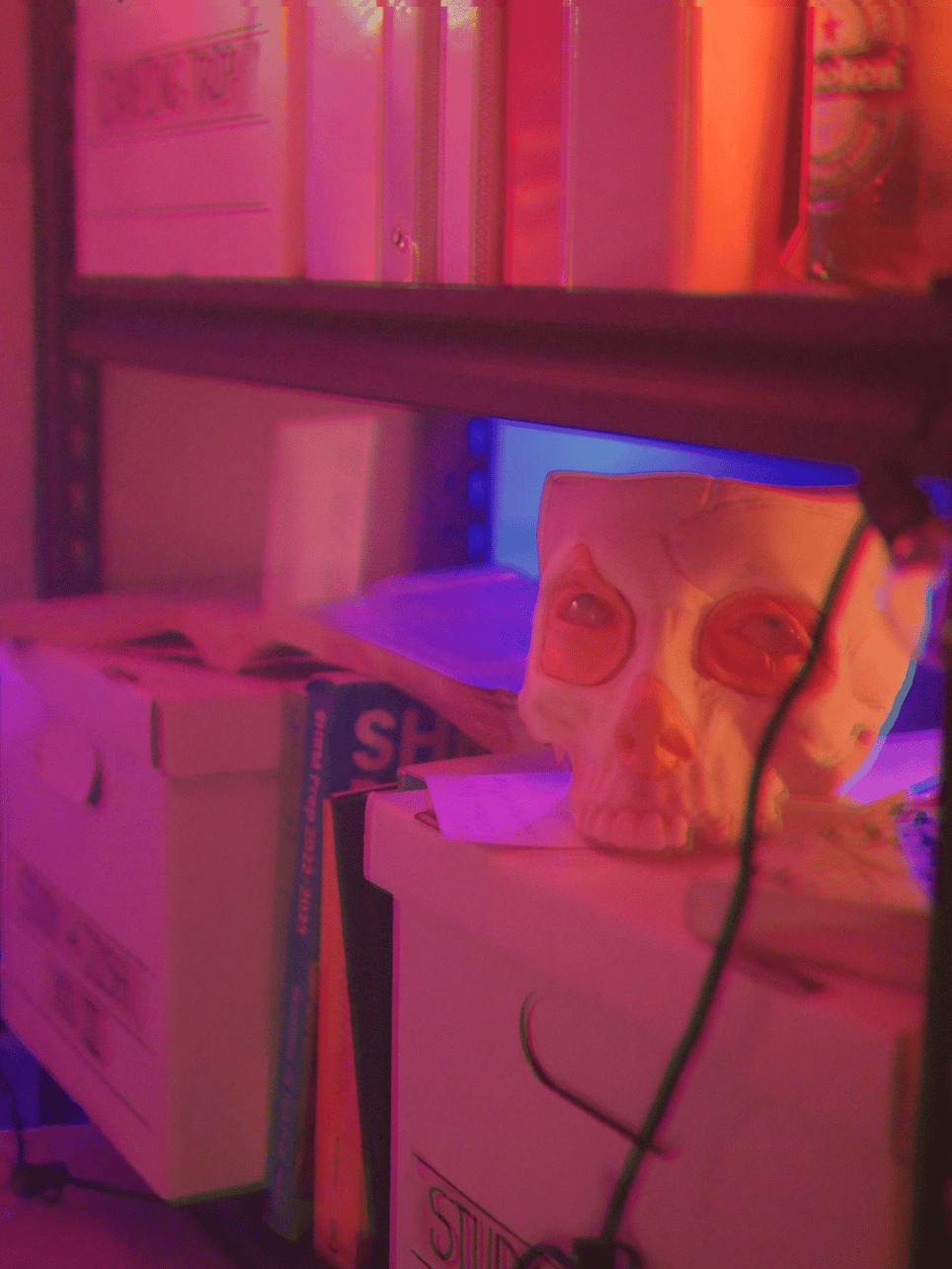 The Shoebox Museum: A Private Immersive Experience