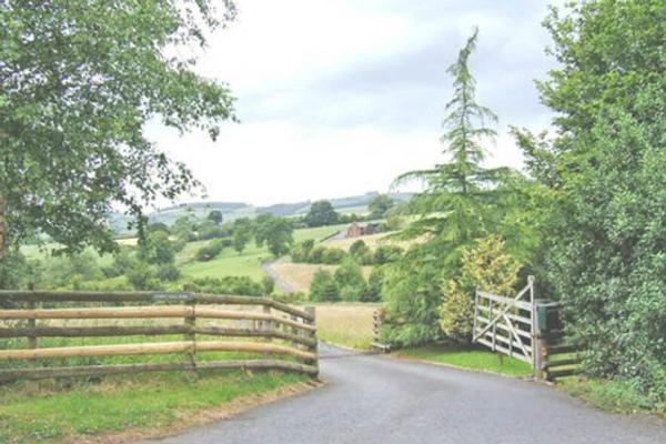 The Frenzy Farmstead
