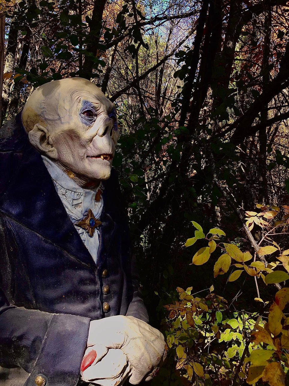 The Haunted Forest At Schuster's Farm