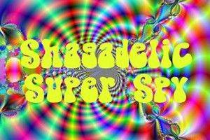 Shagadelic Super Spy