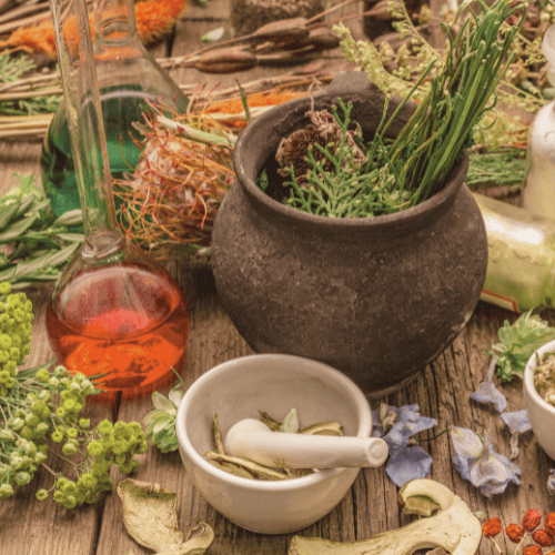 The Apothecary