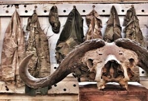 The Poachers' Lair