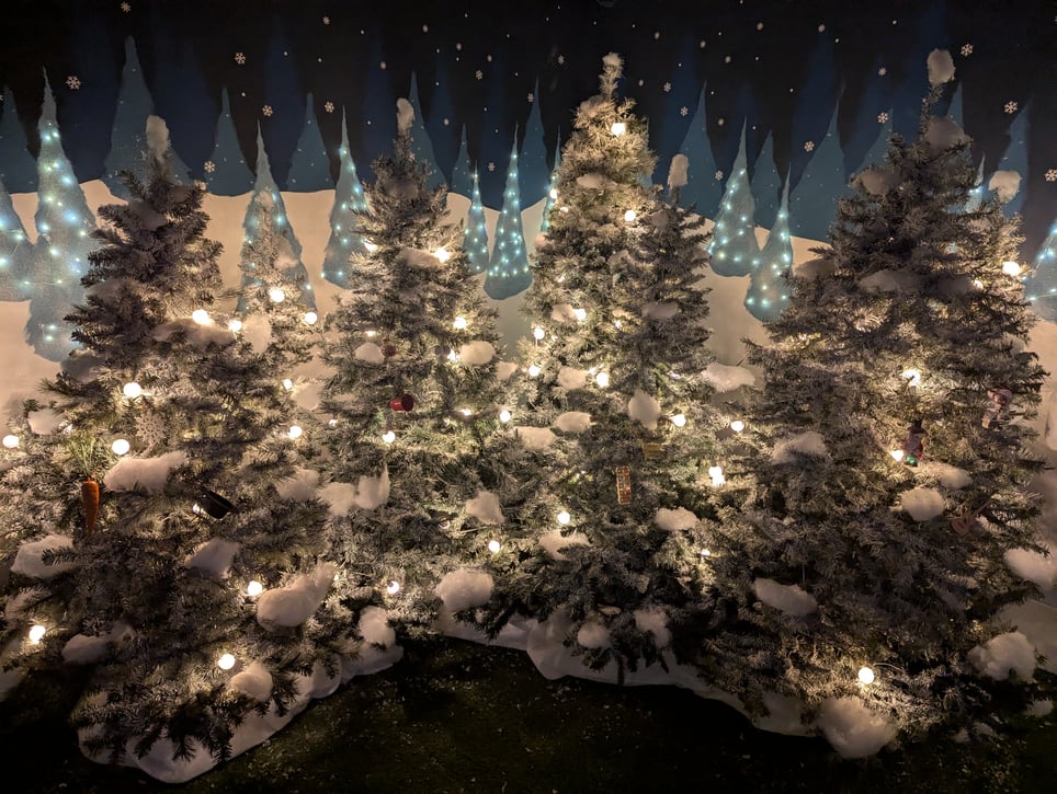Magical Menagerie: A Christmas Adventure