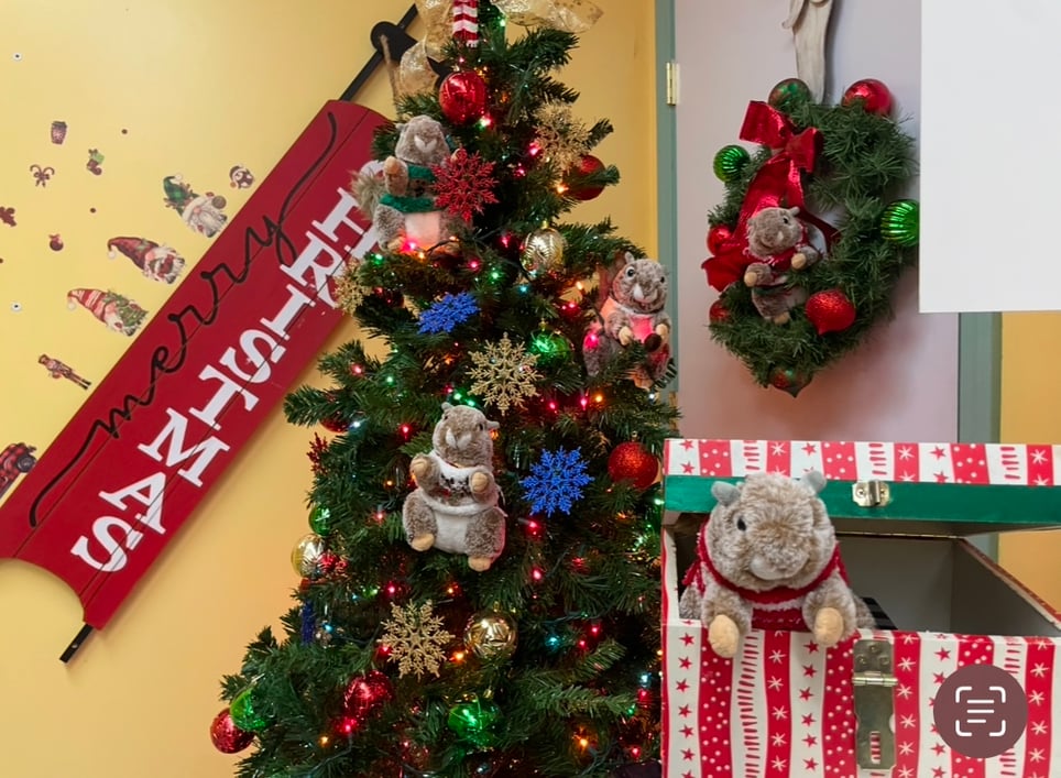 Noel's Nutty Christmas