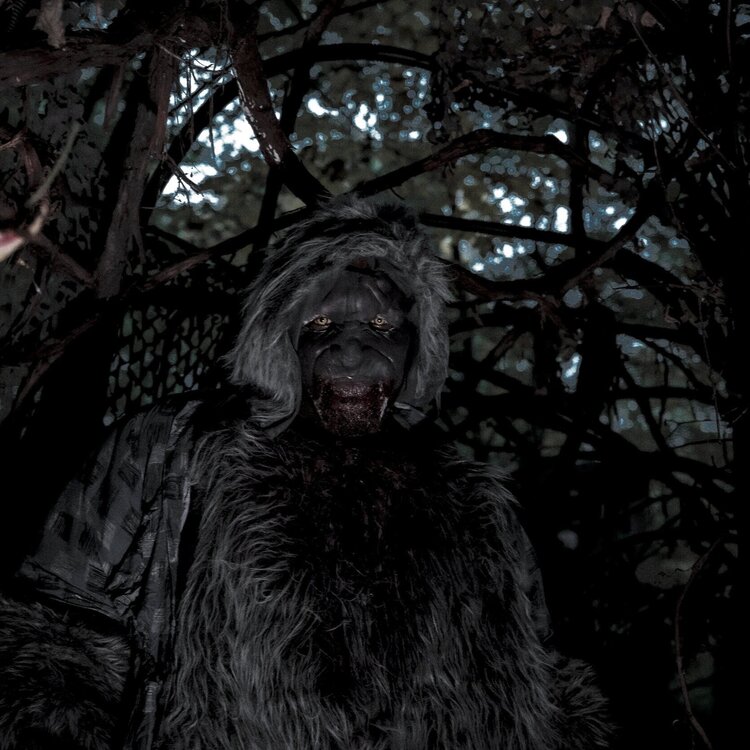 Forest of Fear