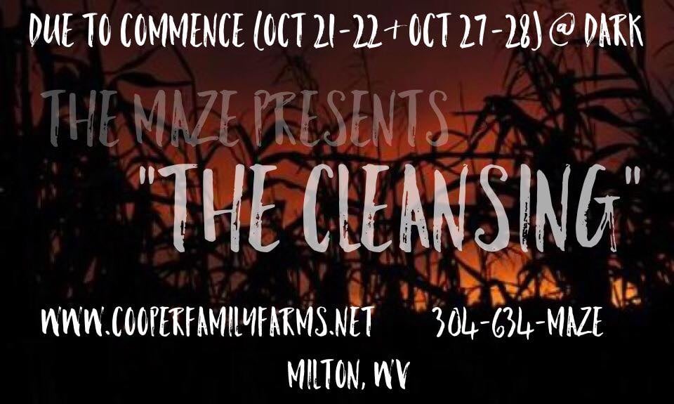 The Cleansing