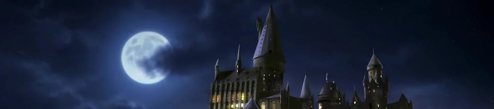 The Wizard's Chamber