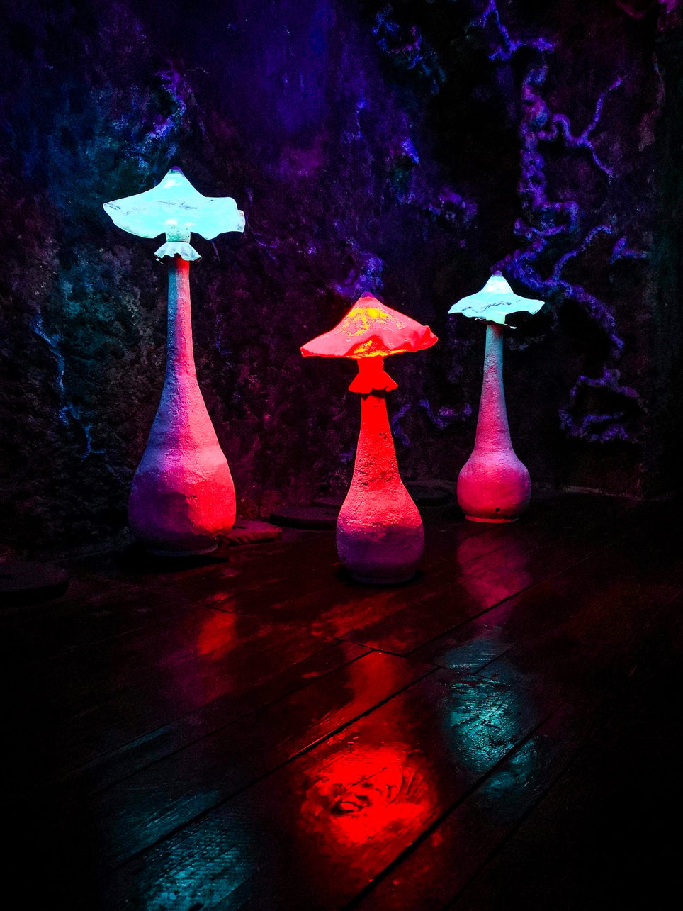 Wonderland