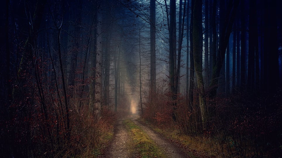 Haunted Trail