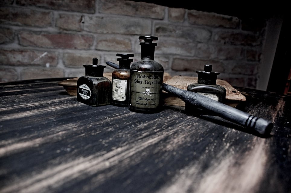The Leaky Cauldron