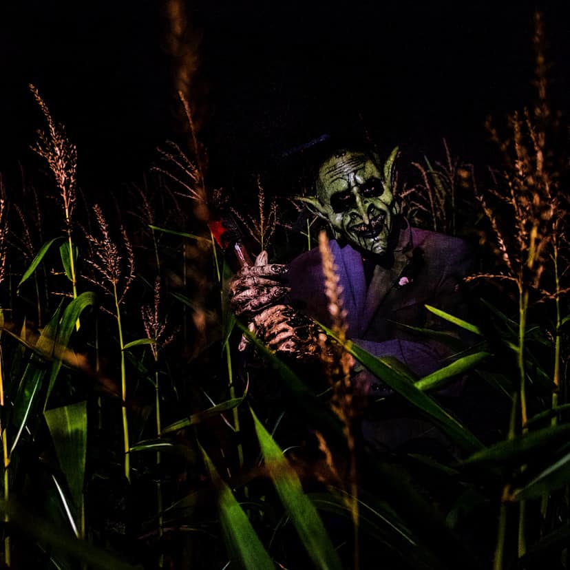 The Stalking Dead