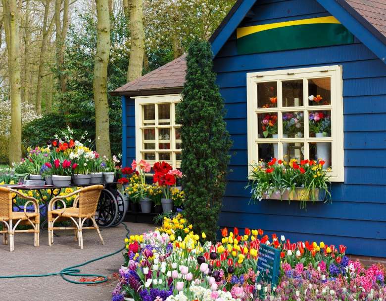The Flower Festival