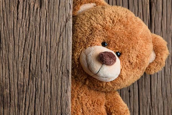 Lost Teddy