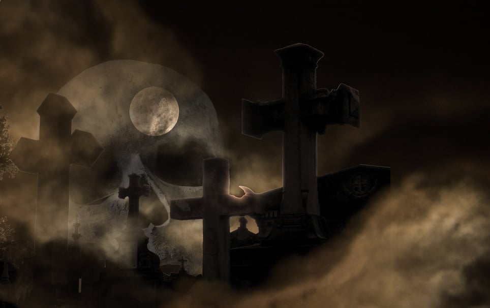 Trail Of Terror