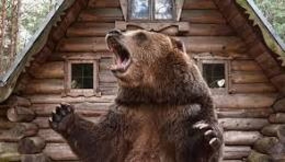 Bear Trap
