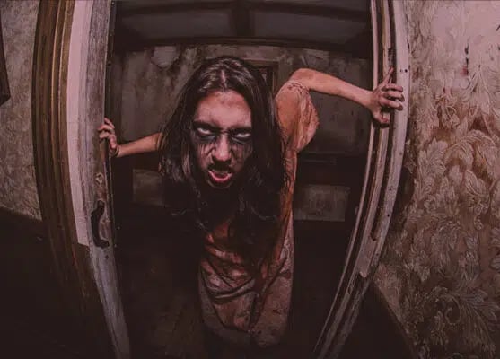 The Haunted Hotel