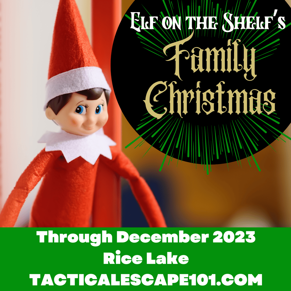 Elf on the Shelf Family Christmas