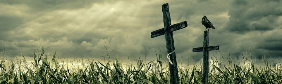 The Haunted Corn Trail