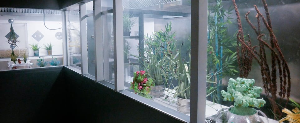 Time Lab