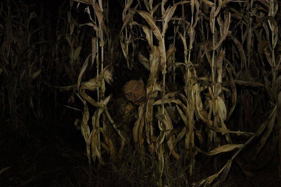 Haunted Hayride