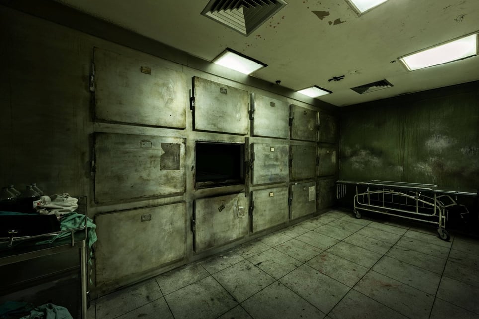 Asylum of Fear [prev. Das Sanatorium]