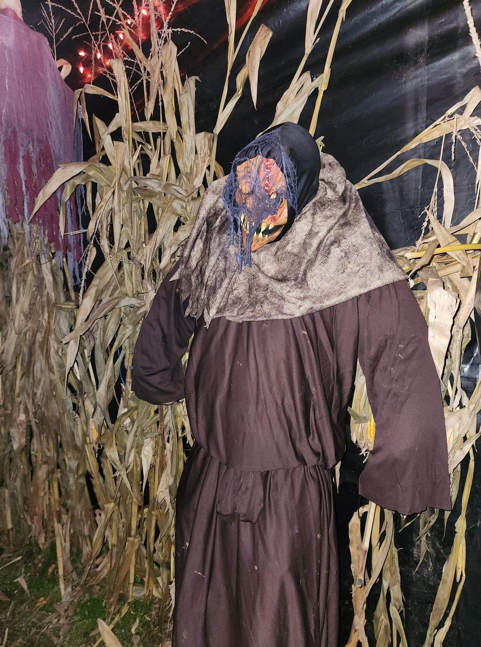 Rosewood's Haunted Maze