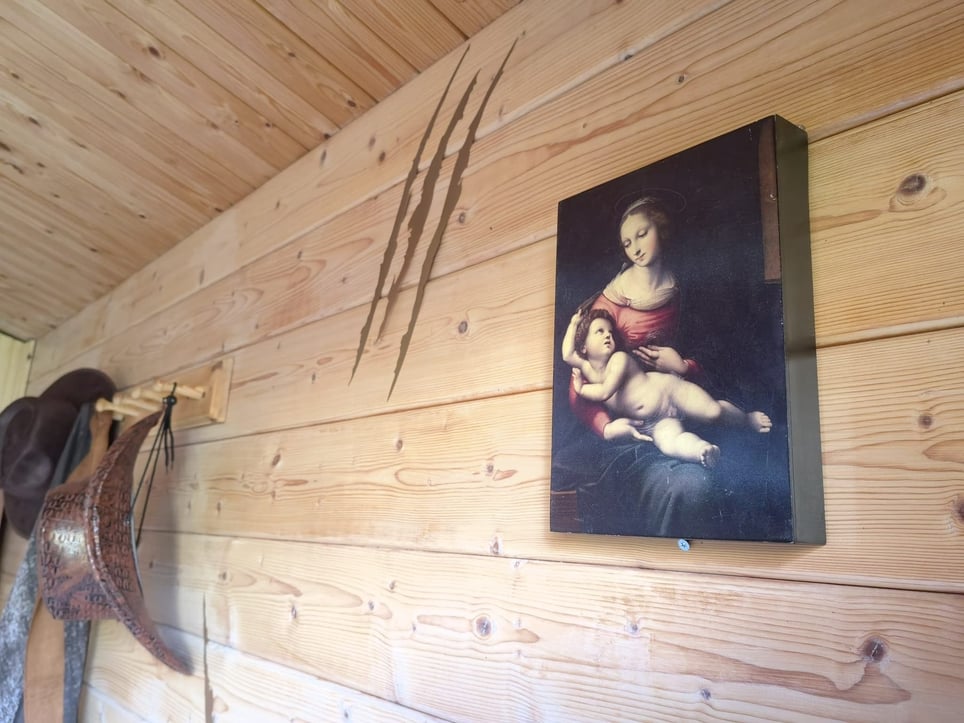 The Last Cabin
