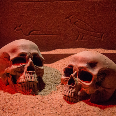 Secrets Of The Pharaohs