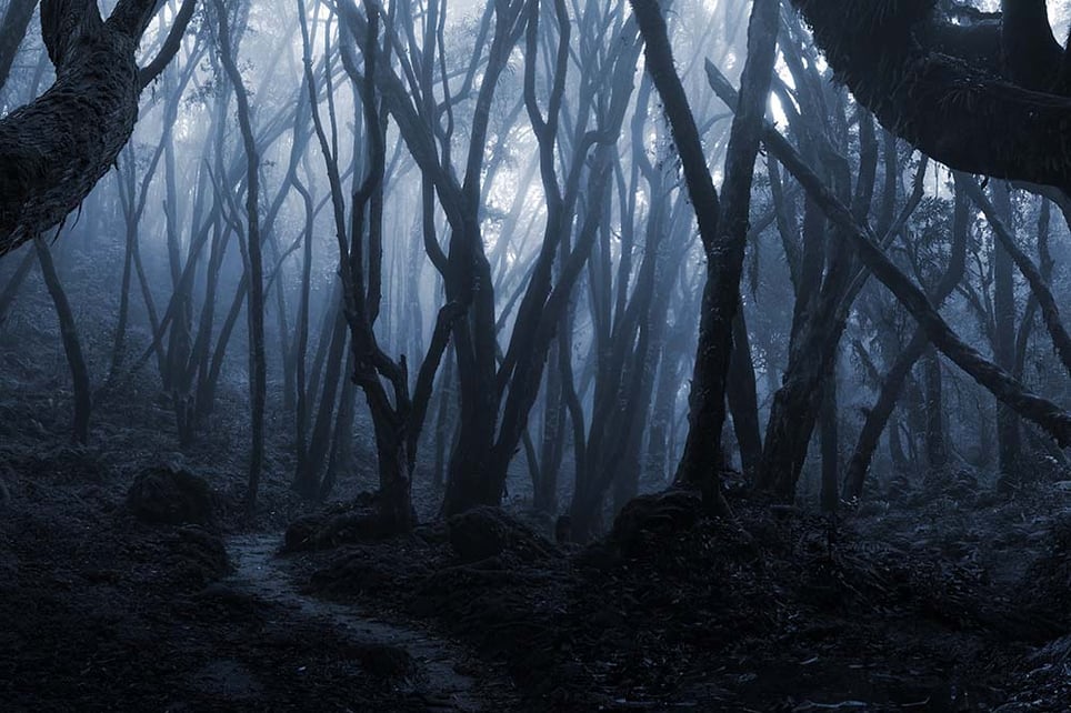 Three Nights Of Terror