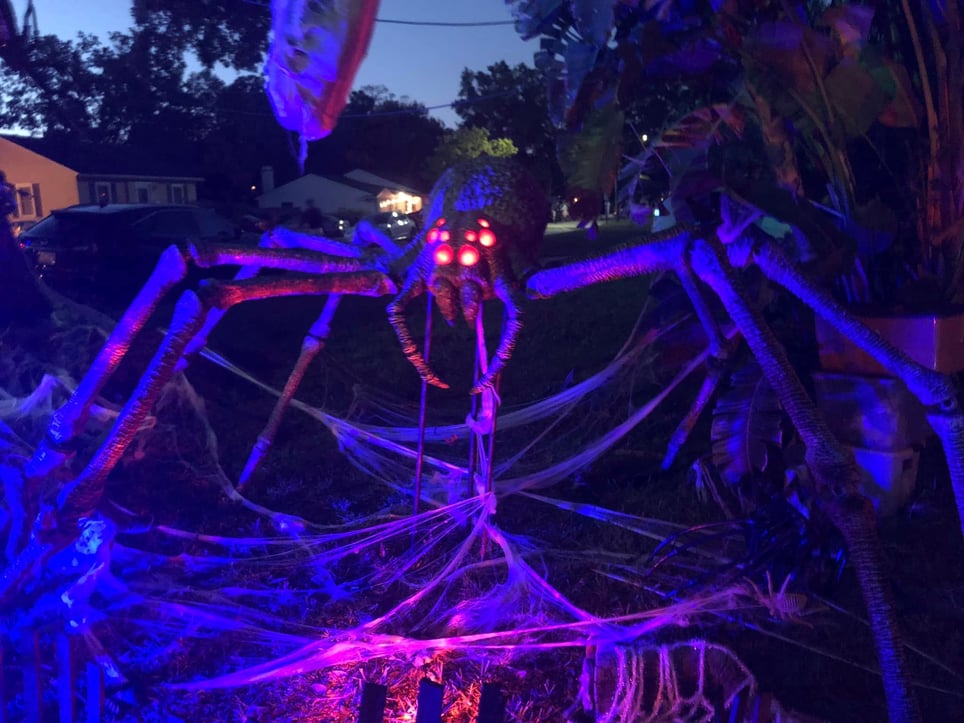 Trail of Nightmares